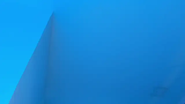 Sebax Young online show from 01/17/26, 08:34