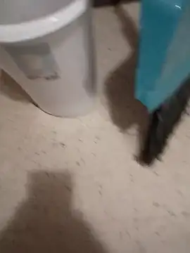 Snapshot of Crossedsissy chatting on 03/10/26, 08:58 Crossedsissy online show from 03/10/26, 08:58