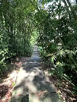 Snapshot of zack23088 chatting on 10/18/25, 02:03 zack23088 online show from 10/18/25, 02:03