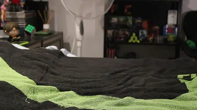 Snapshot of adrisumi chatting on 10/30/25, 06:41 adrisumi online show from 10/30/25, 06:41