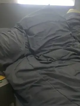 pophiboy online show from 11/15/25, 03:52