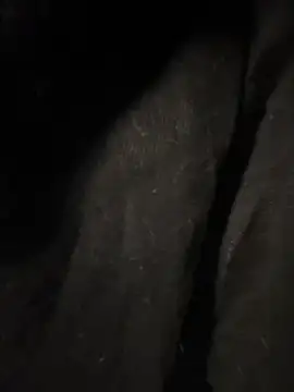 Snapshot of pikuslordpll chatting on 12/23/25, 08:12 pikuslordpll online show from 12/23/25, 08:12