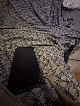 Snapshot of pikuslordpll chatting on 04/26/26, 04:21 pikuslordpll online show from 04/26/26, 04:21