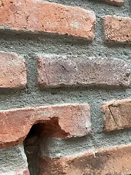 Jacksonfranco online show from 02/11/26, 10:59