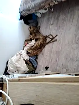 Snapshot of AleksandrFEM chatting on 07/07/26, 07:23 AleksandrFEM online show from 07/07/26, 07:23