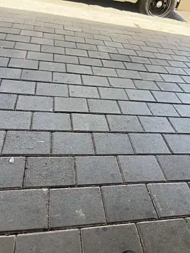 kamo012000 online show from 02/11/26, 10:09