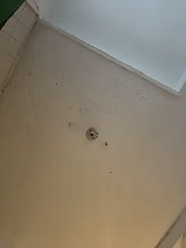 Snapshot of cam11_07 chatting on 04/08/26, 09:37 cam11 07 online show from 04/08/26, 09:37