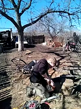 Alexilon online show from 03/10/26, 11:15