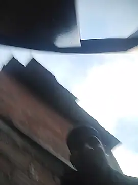 Snapshot of ashtoncooperr chatting on 12/22/25, 11:29 ashtoncooperr online show from 12/22/25, 11:29