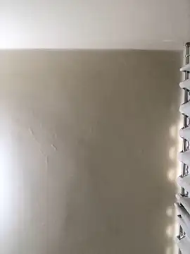 MusaAyla online show from 02/08/26, 05:05