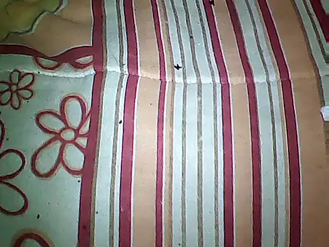 Snapshot of 20cmloiro chatting on 09/16/25, 03:51 20cmloiro online show from 09/16/25, 03:51