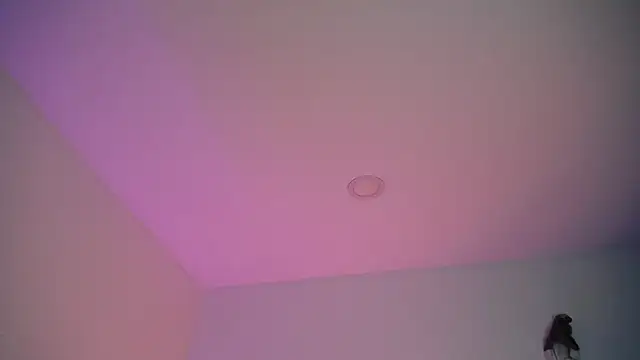 Stepha babe online show from 09/08/25, 10:53