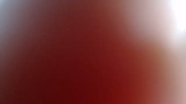 DinaDIRTY online show from 12/11/24, 11:54