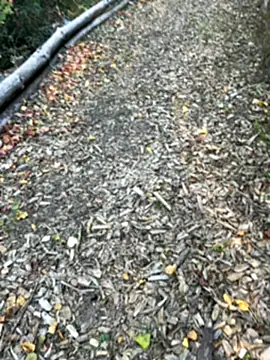 Snapshot of Mlkrrp chatting on 10/10/25, 04:28 Mlkrrp online show from 10/10/25, 04:28