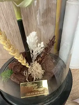 Mrdim26 online show from 10/11/25, 12:58