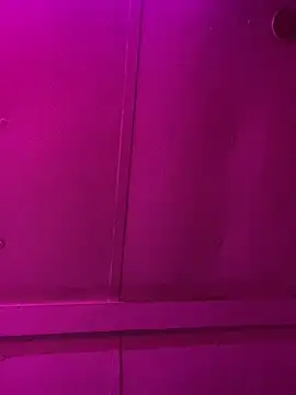 Snapshot of jcwxt chatting on 03/01/26, 11:56 jcwxt online show from 03/01/26, 11:56