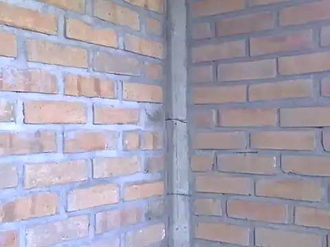 Boycumlatino online show from 10/15/25, 08:53