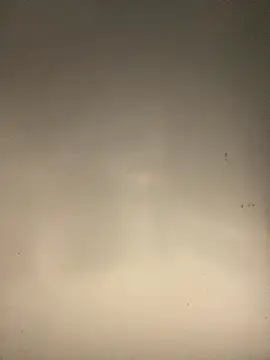 Snapshot of sasatimido chatting on 10/14/25, 03:13 sasatimido online show from 10/14/25, 03:13