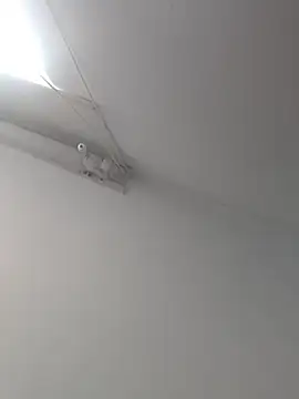 Tattoboy19cm online show from 10/19/25, 08:09