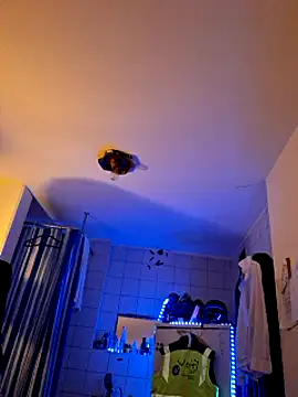 Snapshot of a7ex chatting on 12/15/24, 02:30 a7ex online show from 12/15/24, 02:30