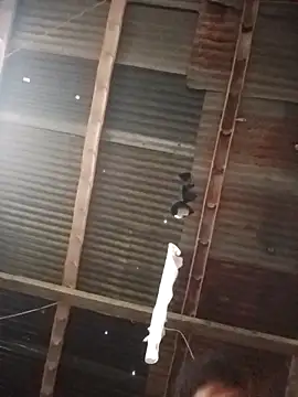 Davir2001 online show from 03/01/26, 11:56