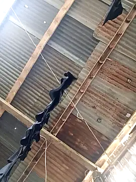 Snapshot of Davir2001 chatting on 03/14/26, 09:42 Davir2001 online show from 03/14/26, 09:42