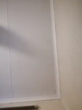 Pnice online show from 11/03/25, 04:58