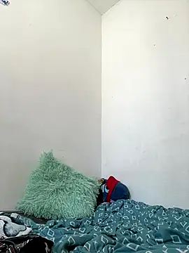 Snapshot of methme chatting on 12/01/25, 04:45 methme online show from 12/01/25, 04:45