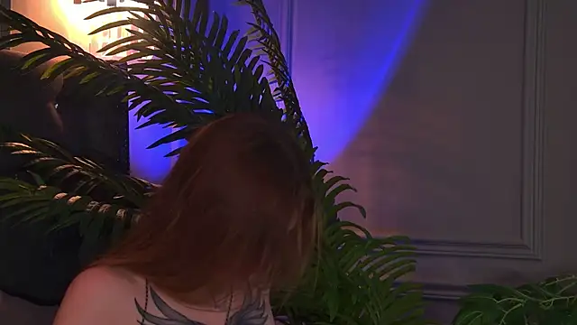 AriWild online show from 06/14/26, 05:42