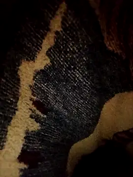 ParousFlow online show from 04/16/26, 09:39