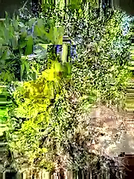 Snapshot of Desi_Horny_Boys chatting on 05/03/26, 03:12 Desi Horny Boys online show from 05/03/26, 03:12