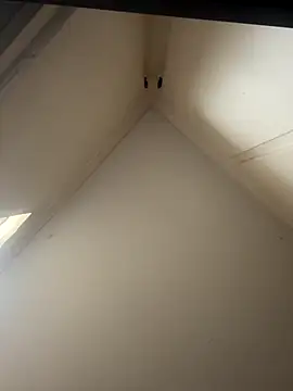 curis4270panda online show from 11/26/25, 01:50