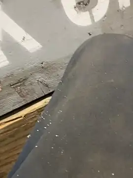 curis4270panda online show from 02/16/26, 08:05