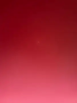 curis4270panda online show from 03/04/26, 12:00