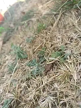 mkallu1995 online show from 03/05/26, 06:09