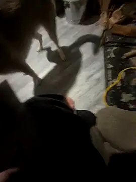 Justme 8519 online show from 06/27/26, 11:26