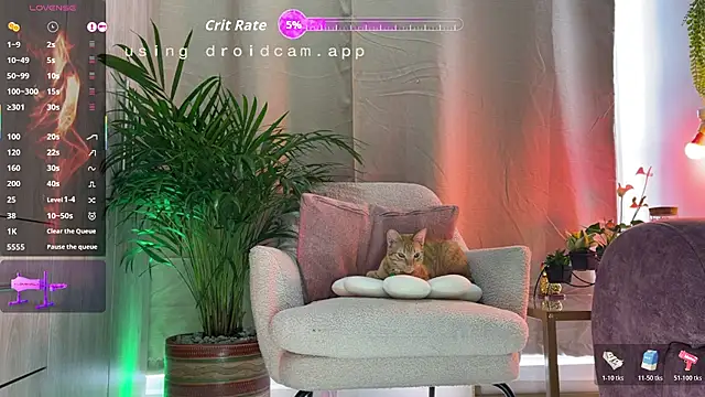 jhosepMoreno online show from 02/23/26, 07:55