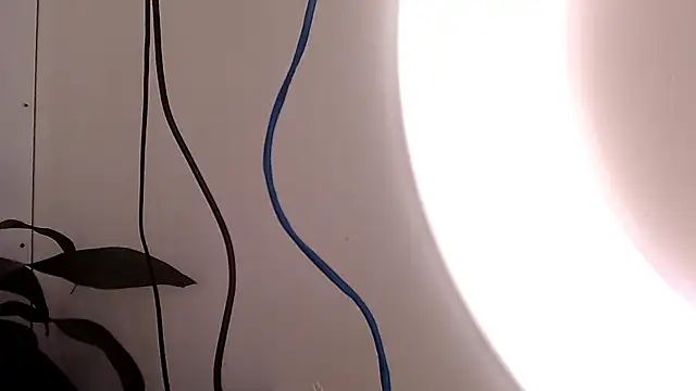 saara johnson496 online show from 09/24/25, 03:15