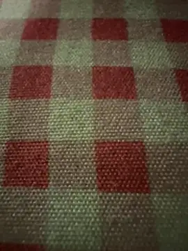 anonimgirl18old online show from 11/24/25, 03:56