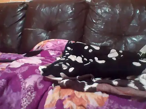 PREDADOR76 online show from 10/10/25, 04:39