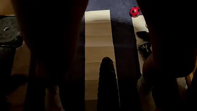 SharkedTaxis online show from 03/02/26, 07:21