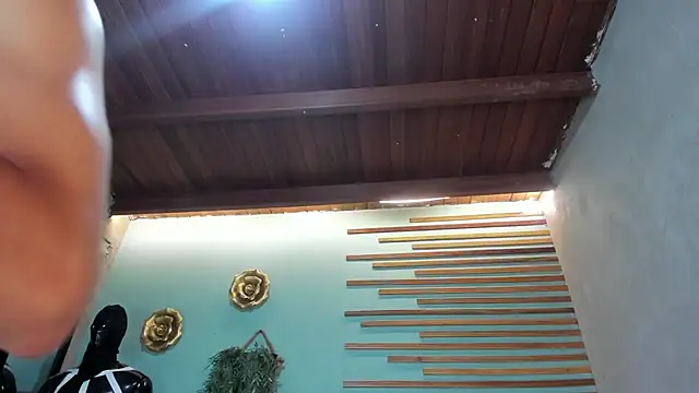 jharol cardonaa online show from 11/26/25, 01:28