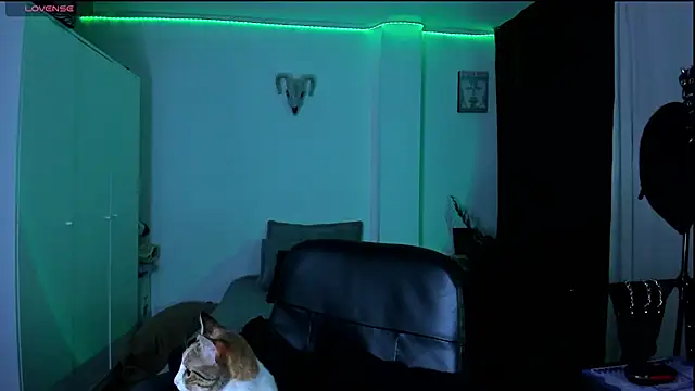 Snapshot of kattusauruss chatting on 03/22/26, 02:26 kattusauruss online show from 03/22/26, 02:26