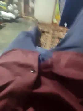 Telugu person12 online show from 03/16/26, 03:38