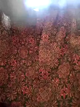 aunty sumy online show from 02/04/26, 04:07