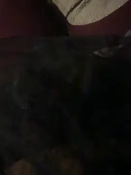 nenad062 online show from 12/17/25, 07:03