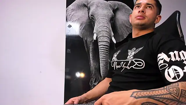 king falconer online show from 10/19/25, 11:49