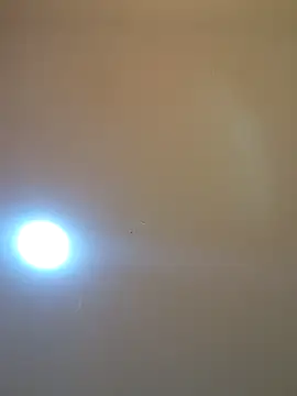 Snapshot of Oriana111 chatting on 03/12/26, 12:00 Oriana111 online show from 03/12/26, 12:00