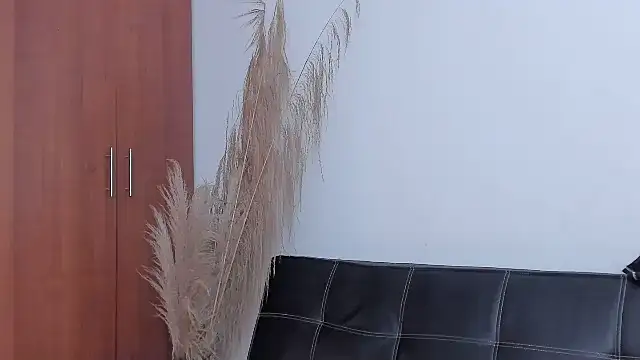 Snapshot of Evansdark1 chatting on 12/14/25, 08:57 Evansdark1 online show from 12/14/25, 08:57