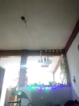 Snapshot of perrotjuui97 chatting on 11/15/25, 01:47 perrotjuui97 online show from 11/15/25, 01:47